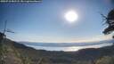 ./images/calvert/fitz-hugh-hecate/20250710/fitz-hugh-hecate20250710_082508M.jpg