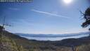 ./images/calvert/fitz-hugh-hecate/20250710/fitz-hugh-hecate20250710_100012M.jpg