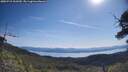 ./images/calvert/fitz-hugh-hecate/20250710/fitz-hugh-hecate20250710_100509M.jpg