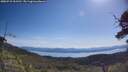 ./images/calvert/fitz-hugh-hecate/20250710/fitz-hugh-hecate20250710_103510M.jpg