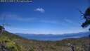 ./images/calvert/fitz-hugh-hecate/20250710/fitz-hugh-hecate20250710_143008M.jpg
