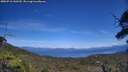 ./images/calvert/fitz-hugh-hecate/20250710/fitz-hugh-hecate20250710_143510M.jpg