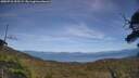 ./images/calvert/fitz-hugh-hecate/20250710/fitz-hugh-hecate20250710_155508M.jpg