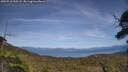 ./images/calvert/fitz-hugh-hecate/20250710/fitz-hugh-hecate20250710_160508M.jpg