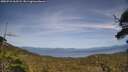 ./images/calvert/fitz-hugh-hecate/20250710/fitz-hugh-hecate20250710_163508M.jpg