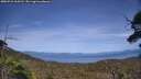 ./images/calvert/fitz-hugh-hecate/20250710/fitz-hugh-hecate20250710_164511M.jpg