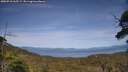 ./images/calvert/fitz-hugh-hecate/20250710/fitz-hugh-hecate20250710_165509M.jpg