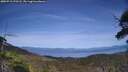 ./images/calvert/fitz-hugh-hecate/20250710/fitz-hugh-hecate20250710_170508M.jpg