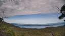 ./images/calvert/fitz-hugh-hecate/20250710/fitz-hugh-hecate20250710_172508M.jpg