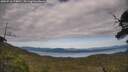 ./images/calvert/fitz-hugh-hecate/20250710/fitz-hugh-hecate20250710_174010M.jpg