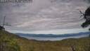 ./images/calvert/fitz-hugh-hecate/20250710/fitz-hugh-hecate20250710_175510M.jpg