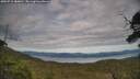 ./images/calvert/fitz-hugh-hecate/20250710/fitz-hugh-hecate20250710_180010M.jpg
