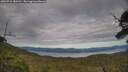 ./images/calvert/fitz-hugh-hecate/20250710/fitz-hugh-hecate20250710_180510M.jpg