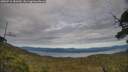 ./images/calvert/fitz-hugh-hecate/20250710/fitz-hugh-hecate20250710_181010M.jpg