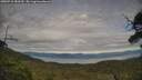 ./images/calvert/fitz-hugh-hecate/20250710/fitz-hugh-hecate20250710_183510M.jpg