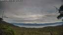 ./images/calvert/fitz-hugh-hecate/20250710/fitz-hugh-hecate20250710_185009M.jpg