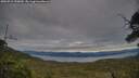 ./images/calvert/fitz-hugh-hecate/20250710/fitz-hugh-hecate20250710_190010M.jpg