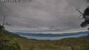 ./images/calvert/fitz-hugh-hecate/20250710/fitz-hugh-hecate20250710_190507M.jpg