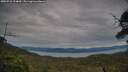 ./images/calvert/fitz-hugh-hecate/20250710/fitz-hugh-hecate20250710_194009M.jpg