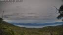 ./images/calvert/fitz-hugh-hecate/20250710/fitz-hugh-hecate20250710_205507M.jpg