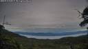 ./images/calvert/fitz-hugh-hecate/20250710/fitz-hugh-hecate20250710_210506M.jpg