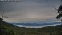 ./images/calvert/fitz-hugh-hecate/20250710/fitz-hugh-hecate20250710_211009M.jpg