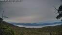 ./images/calvert/fitz-hugh-hecate/20250710/fitz-hugh-hecate20250710_213509M.jpg