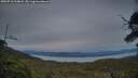 ./images/calvert/fitz-hugh-hecate/20250710/fitz-hugh-hecate20250710_214008M.jpg