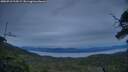 ./images/calvert/fitz-hugh-hecate/20250710/fitz-hugh-hecate20250710_215008M.jpg