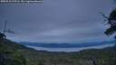 ./images/calvert/fitz-hugh-hecate/20250710/fitz-hugh-hecate20250710_215505M.jpg