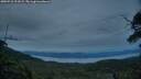 ./images/calvert/fitz-hugh-hecate/20250710/fitz-hugh-hecate20250710_221009M.jpg