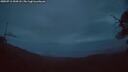 ./images/calvert/fitz-hugh-hecate/20250711/fitz-hugh-hecate20250711_044508M.jpg