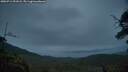 ./images/calvert/fitz-hugh-hecate/20250711/fitz-hugh-hecate20250711_051007M.jpg