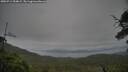 ./images/calvert/fitz-hugh-hecate/20250711/fitz-hugh-hecate20250711_054009M.jpg
