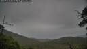 ./images/calvert/fitz-hugh-hecate/20250711/fitz-hugh-hecate20250711_055009M.jpg