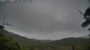 ./images/calvert/fitz-hugh-hecate/20250711/fitz-hugh-hecate20250711_060010M.jpg