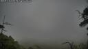 ./images/calvert/fitz-hugh-hecate/20250711/fitz-hugh-hecate20250711_061510M.jpg