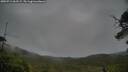 ./images/calvert/fitz-hugh-hecate/20250711/fitz-hugh-hecate20250711_062509M.jpg