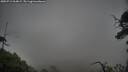 ./images/calvert/fitz-hugh-hecate/20250711/fitz-hugh-hecate20250711_064008M.jpg