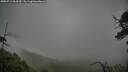 ./images/calvert/fitz-hugh-hecate/20250711/fitz-hugh-hecate20250711_064510M.jpg