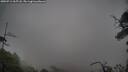 ./images/calvert/fitz-hugh-hecate/20250711/fitz-hugh-hecate20250711_065507M.jpg