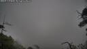./images/calvert/fitz-hugh-hecate/20250711/fitz-hugh-hecate20250711_070010M.jpg