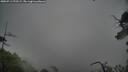 ./images/calvert/fitz-hugh-hecate/20250711/fitz-hugh-hecate20250711_070509M.jpg