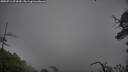 ./images/calvert/fitz-hugh-hecate/20250711/fitz-hugh-hecate20250711_071010M.jpg
