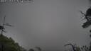 ./images/calvert/fitz-hugh-hecate/20250711/fitz-hugh-hecate20250711_071508M.jpg