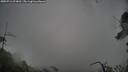 ./images/calvert/fitz-hugh-hecate/20250711/fitz-hugh-hecate20250711_073010M.jpg