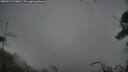 ./images/calvert/fitz-hugh-hecate/20250711/fitz-hugh-hecate20250711_074010M.jpg