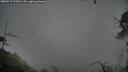 ./images/calvert/fitz-hugh-hecate/20250711/fitz-hugh-hecate20250711_074510M.jpg
