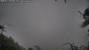 ./images/calvert/fitz-hugh-hecate/20250711/fitz-hugh-hecate20250711_075510M.jpg