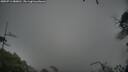 ./images/calvert/fitz-hugh-hecate/20250711/fitz-hugh-hecate20250711_080010M.jpg